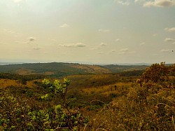 Cerrado mineiro.